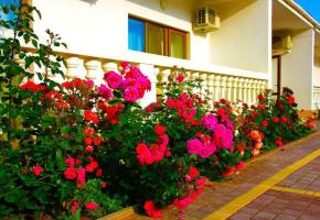 Отель Versal / Версаль