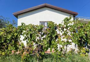 Дом в Приморском