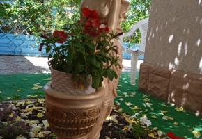 Гостевой дом Ирина