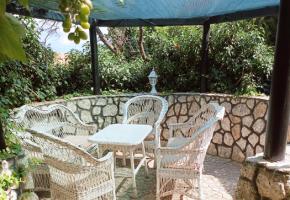 Дом в Оленевке